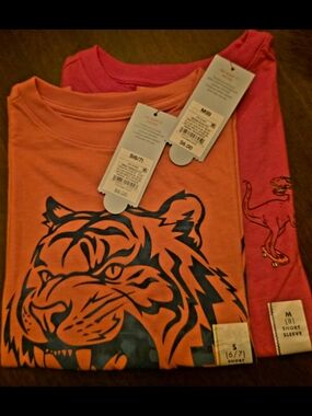 Boy's Orange Tiger Graphic Tee And Red Dino Tshirts Bundle